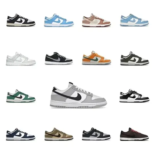 Nike Dunk Sneakers